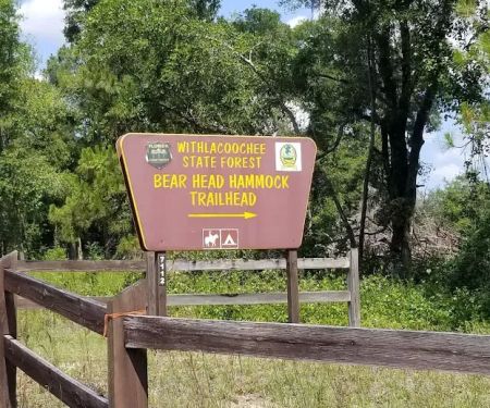 Bearhead Hammock Recreational Area