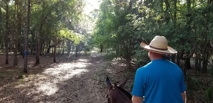 Bearhead Hammock Recreational Area 4