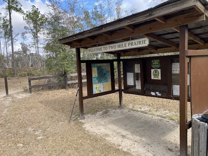 Bearhead Hammock Recreational Area 5