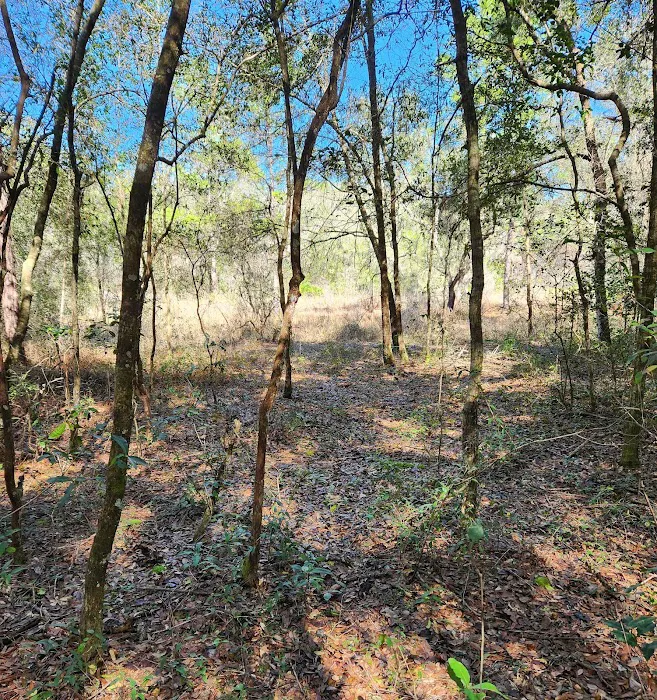 Ross Prairie Campground 3