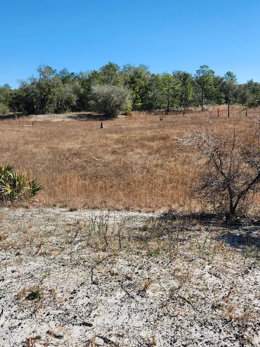 Ross Prairie Campground 5