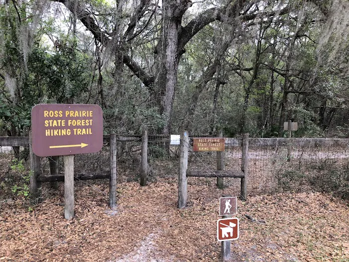 Ross Prairie Campground 7