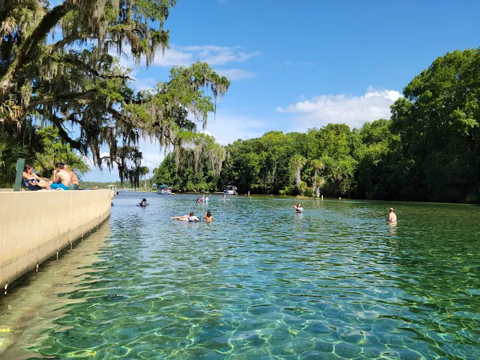 Salt Springs Resort 5