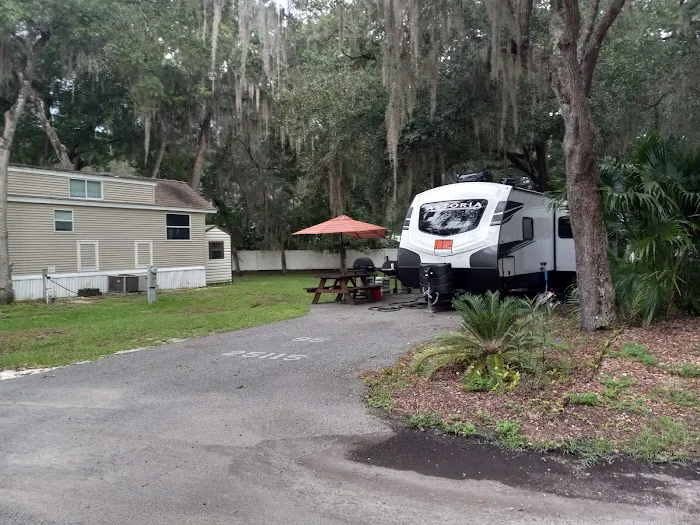 Salt Springs Resort 6