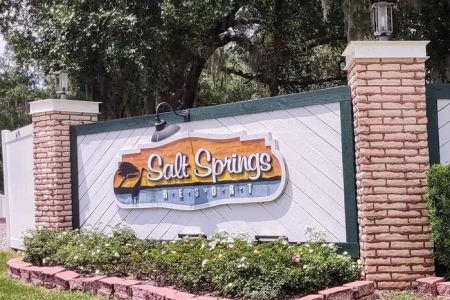 Co-Host Pro's at Salt Springs Resorts
