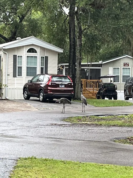Lake Kerr Rentals at Salt Springs Resort 7