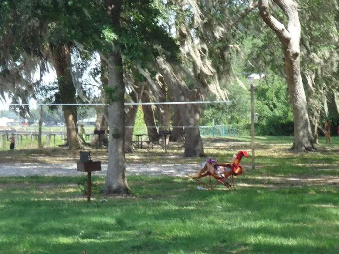 elite resorts at salt springs 4