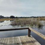 Salt Springs Village