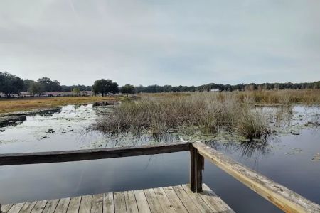 Salt Springs Village