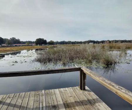 Salt Springs Village