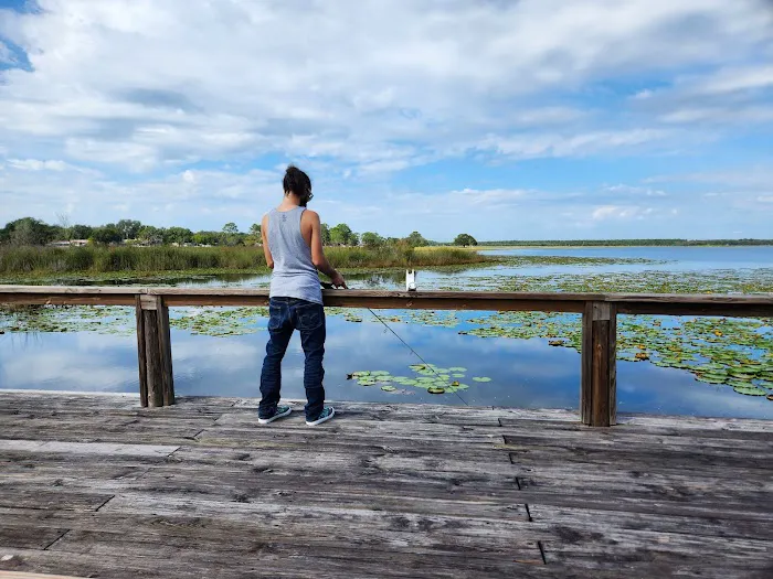 Salt Springs Village 2