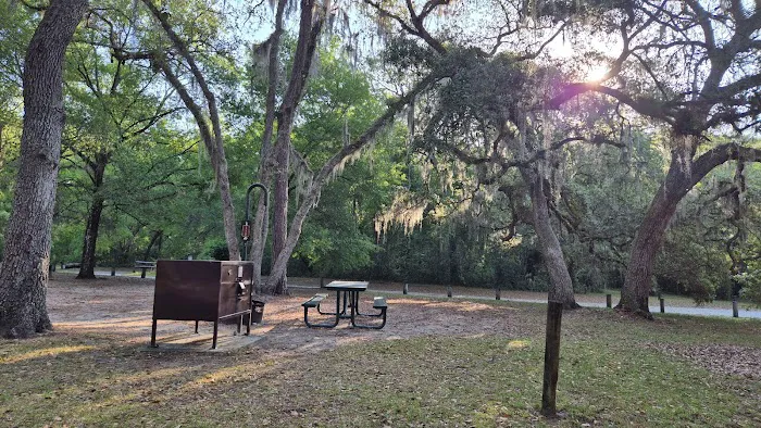 Salt Springs Village 6