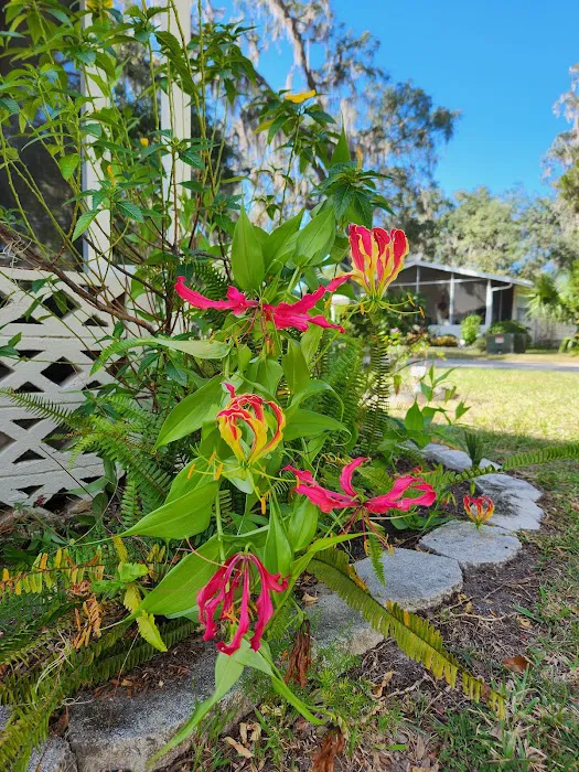 Salt Springs Village 7