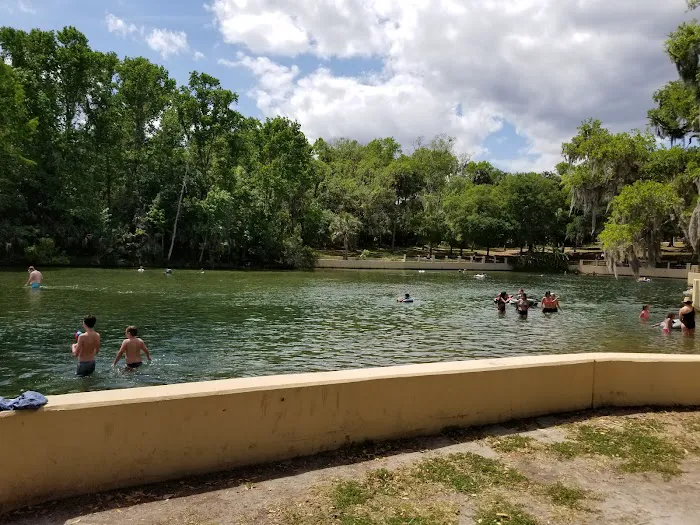 Salt Springs Village 8
