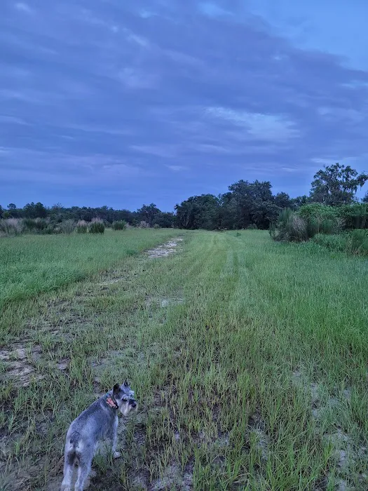 The Alencar Ranch 1