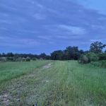 The Alencar Ranch