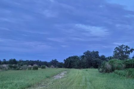 The Alencar Ranch