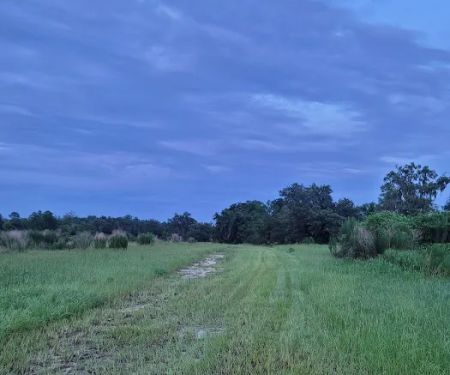 The Alencar Ranch