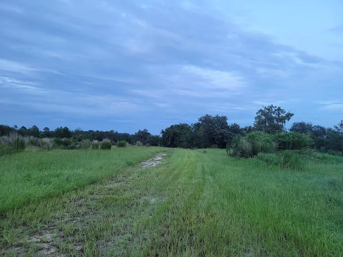 The Alencar Ranch 5