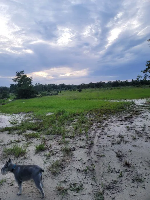 The Alencar Ranch 10