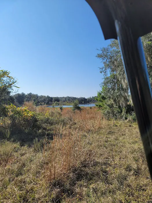 The Alencar Ranch 8