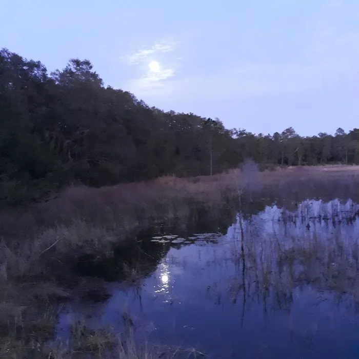 Shanty Pond Campground 1