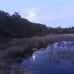 Shanty Pond Campground
