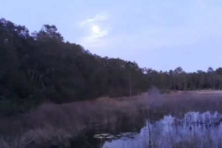 Shanty Pond Campground