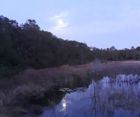 Shanty Pond Campground