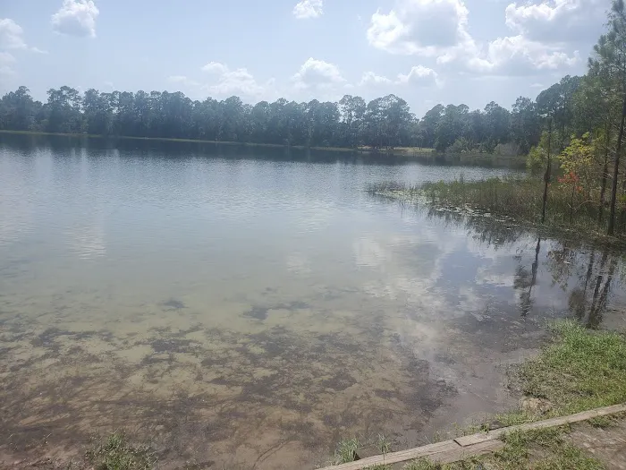 Lake Shore Group Campground - Ocala National Forest 1