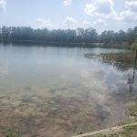 Lake Shore Group Campground - Ocala National Forest