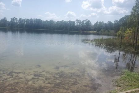 Lake Shore Group Campground - Ocala National Forest
