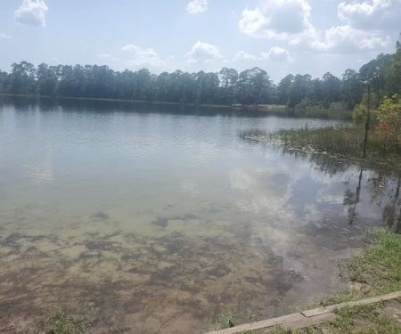Lake Shore Group Campground - Ocala National Forest