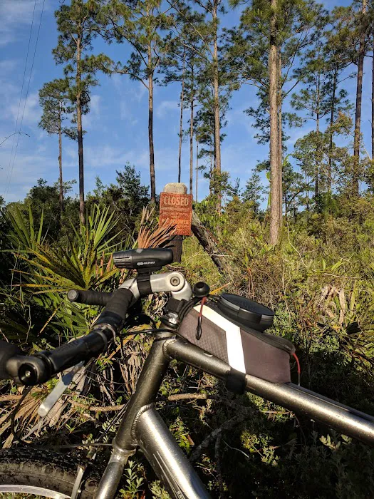 Lake Shore Group Campground - Ocala National Forest 6