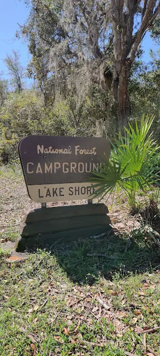 Lake Shore Group Campground - Ocala National Forest 5