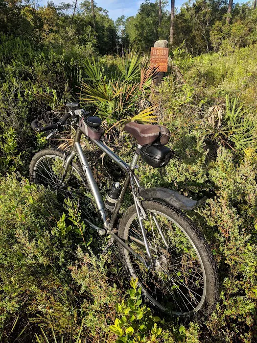 Lake Shore Group Campground - Ocala National Forest 9