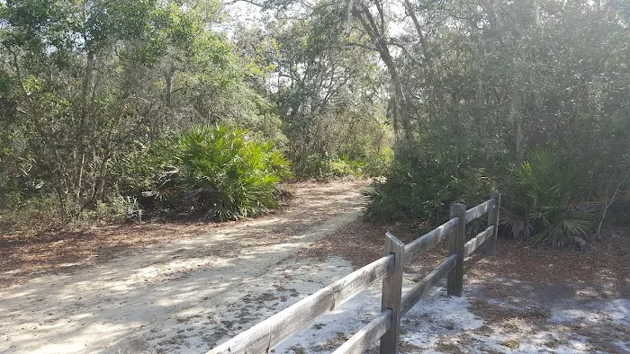 Lake Shore Group Campground - Ocala National Forest 10