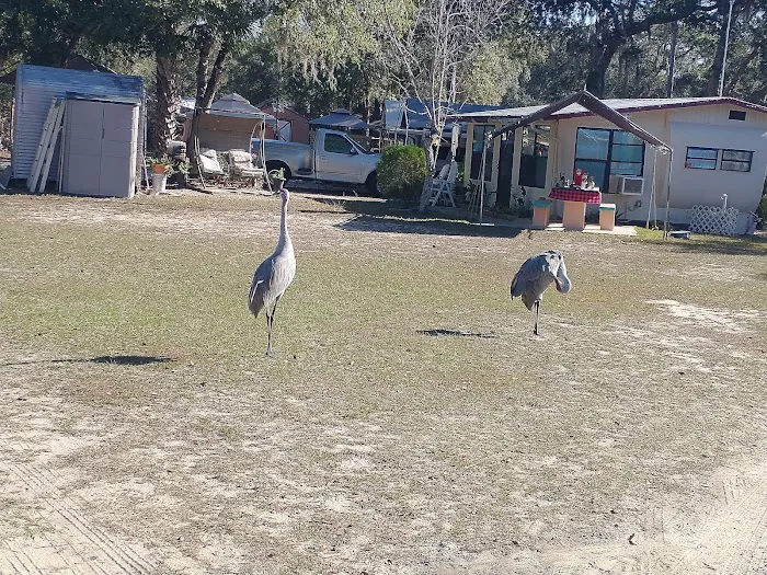 TallTimbers RV Park 6