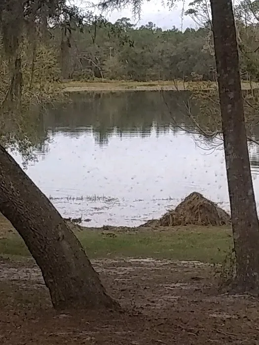 TallTimbers RV Park 8