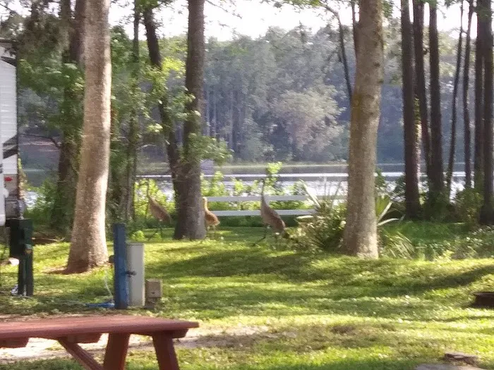 Lake Waldena Resort 3