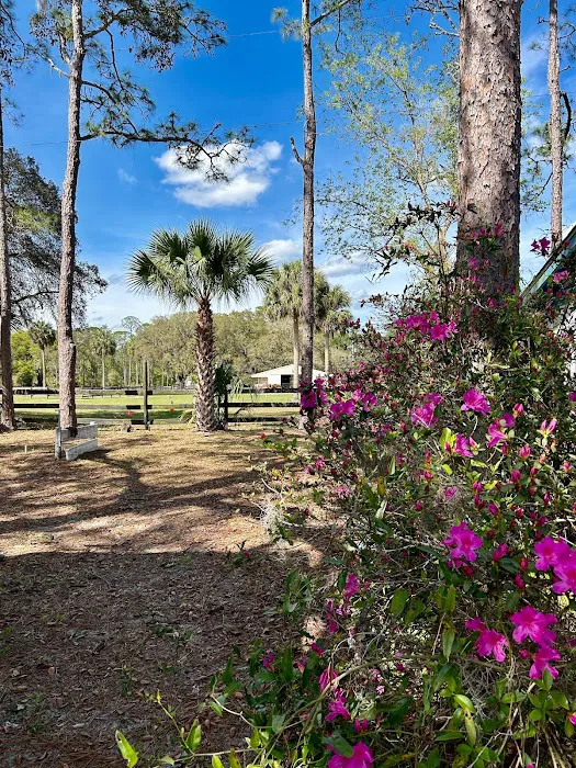 Whispering Pines RV Park 5
