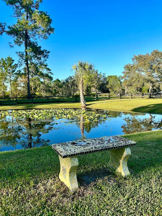 Whispering Pines RV Park 6