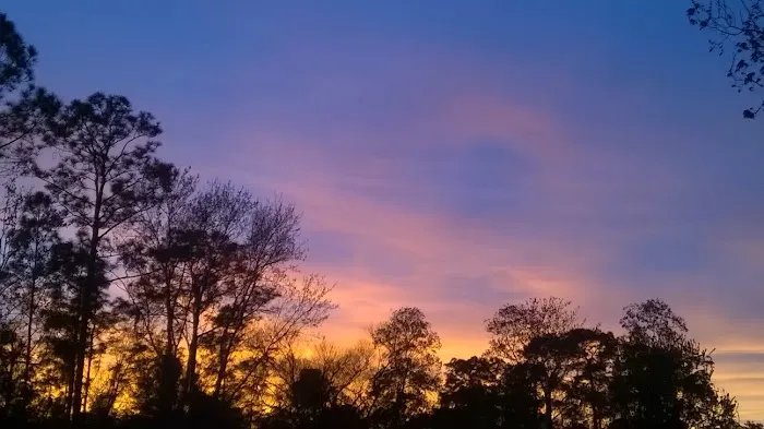 Whispering Pines RV Park 7