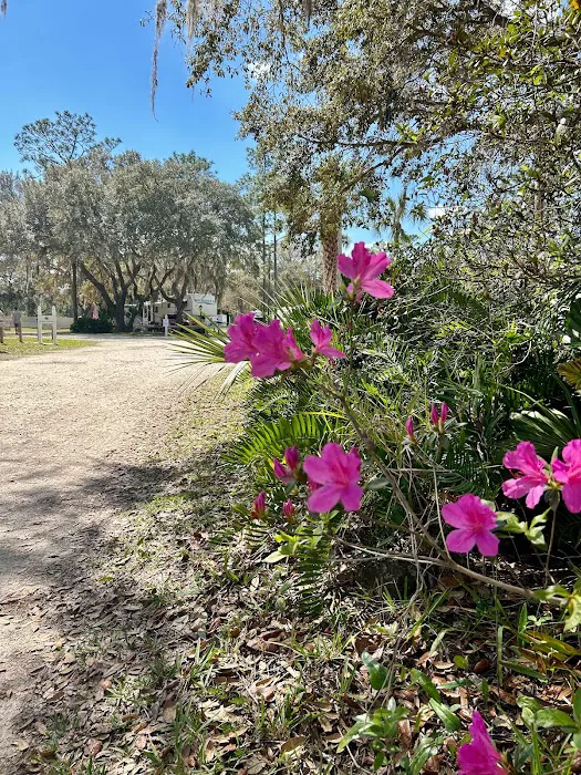 Whispering Pines RV Park 9