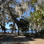 Mill Dam Group Campground