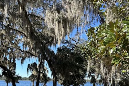 Mill Dam Group Campground