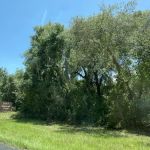 Silver Springs State Park Campground