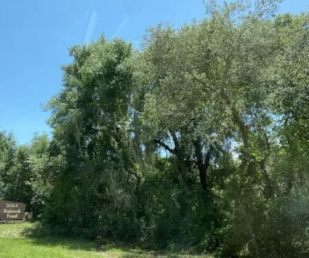 Silver Springs State Park Campground