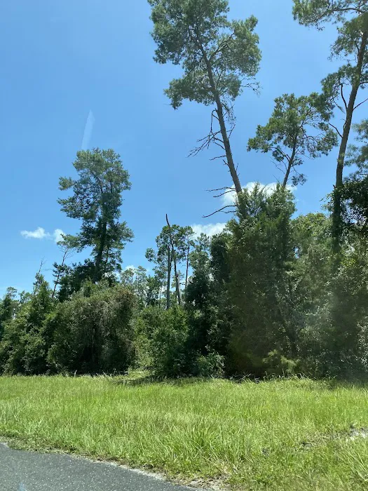 Silver Springs State Park Campground 3