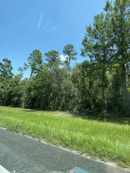 Silver Springs State Park Campground 5